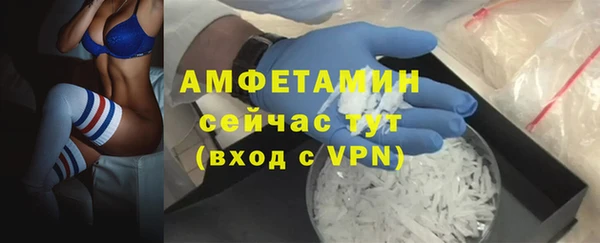 СК Алексин