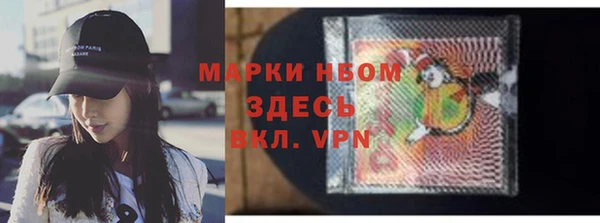 СК Алексин