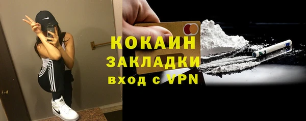 СК Алексин