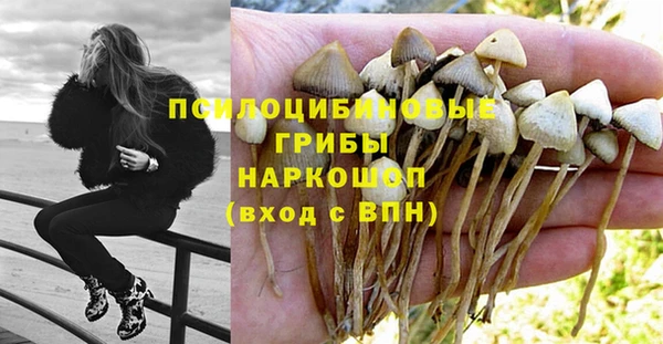 СК Алексин