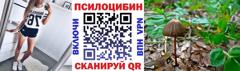 купить  цена  Ишим  Галлюциногенные грибы Cubensis 